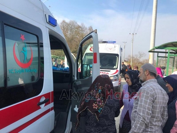 50 metrelik uçurumdan fındıklığa düştü