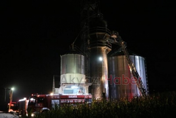 50 ton mısır zarar gördü 