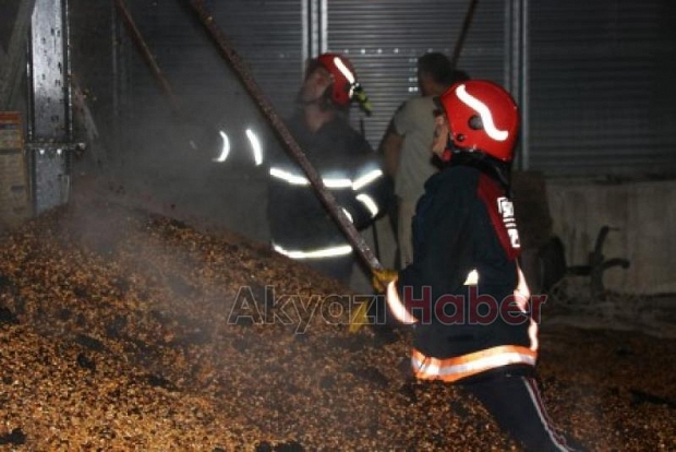 50 ton mısır zarar gördü 