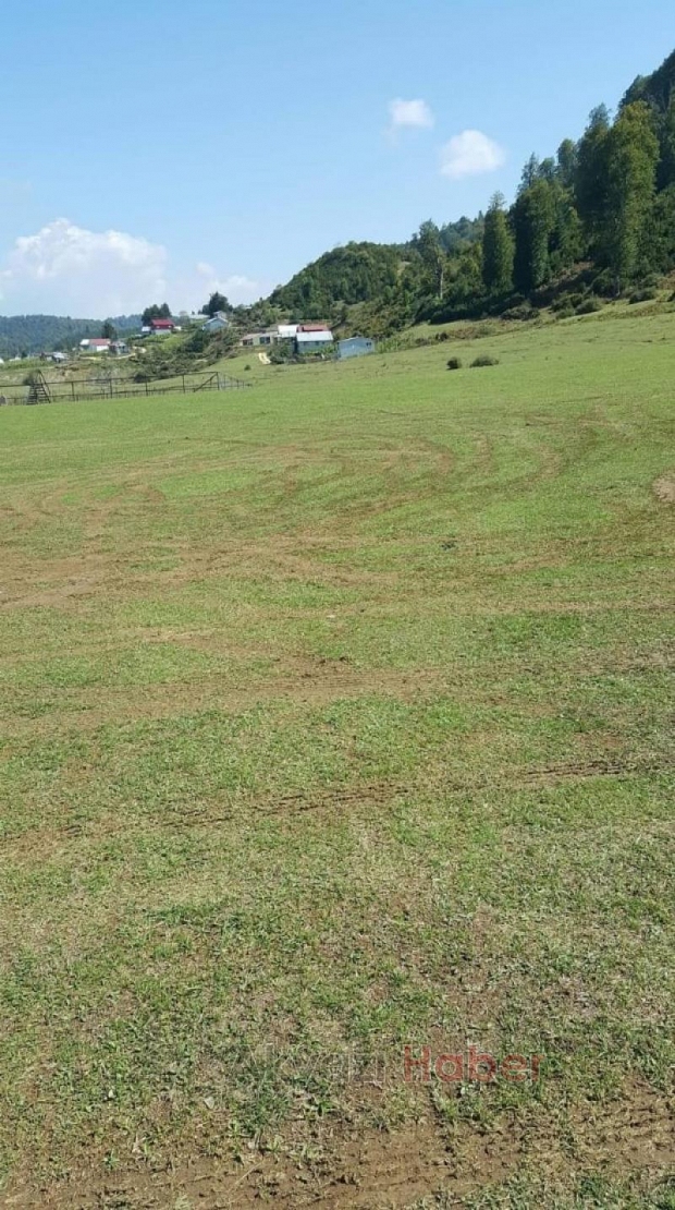 Acelle Yaylası'nda şok eden görüntü