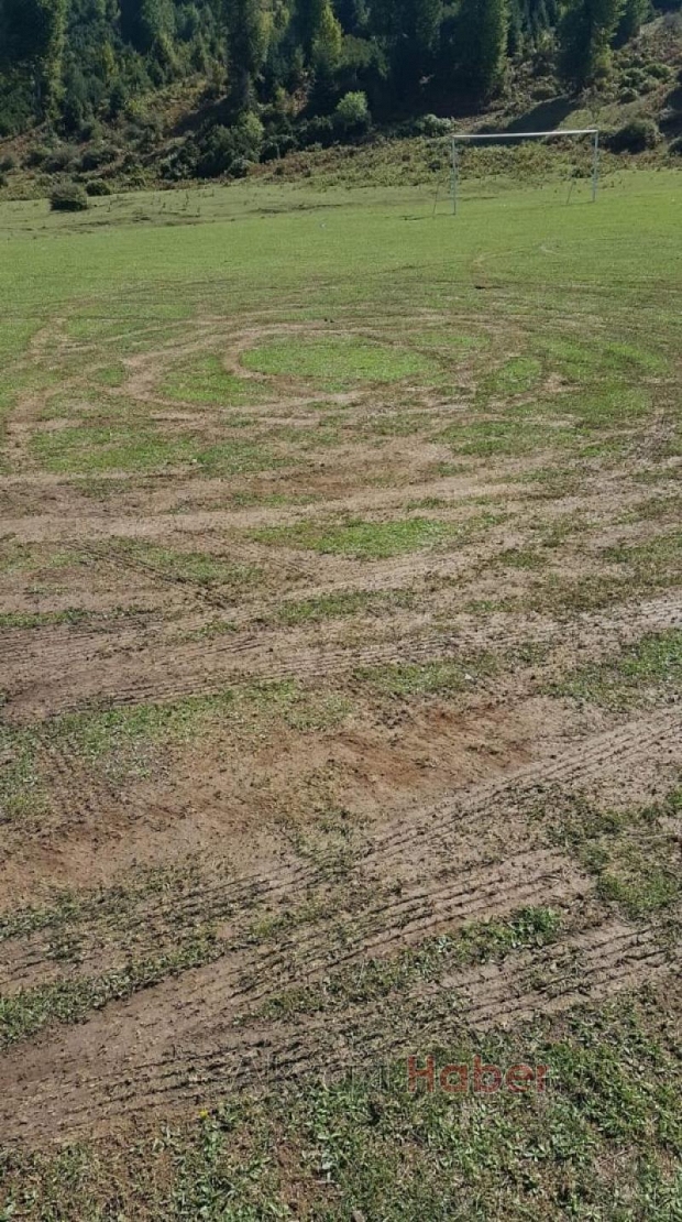 Acelle Yaylası'nda şok eden görüntü