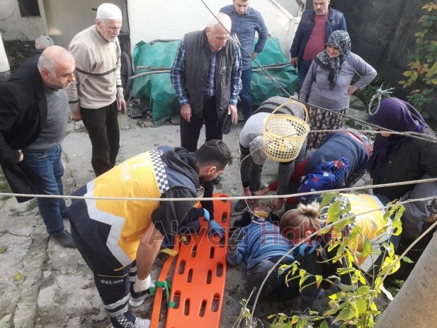 Ağaç Budarken 3 Metrede Düştü
