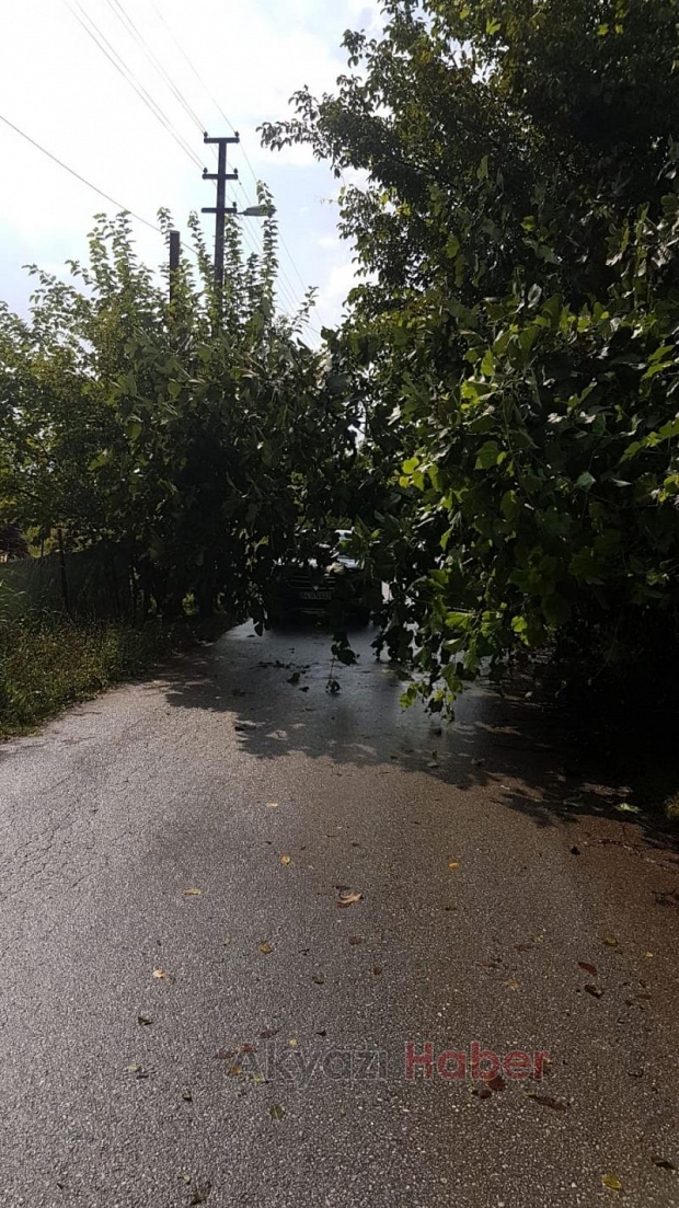 Ağacın altında kalmaktan son anda kurtuldu