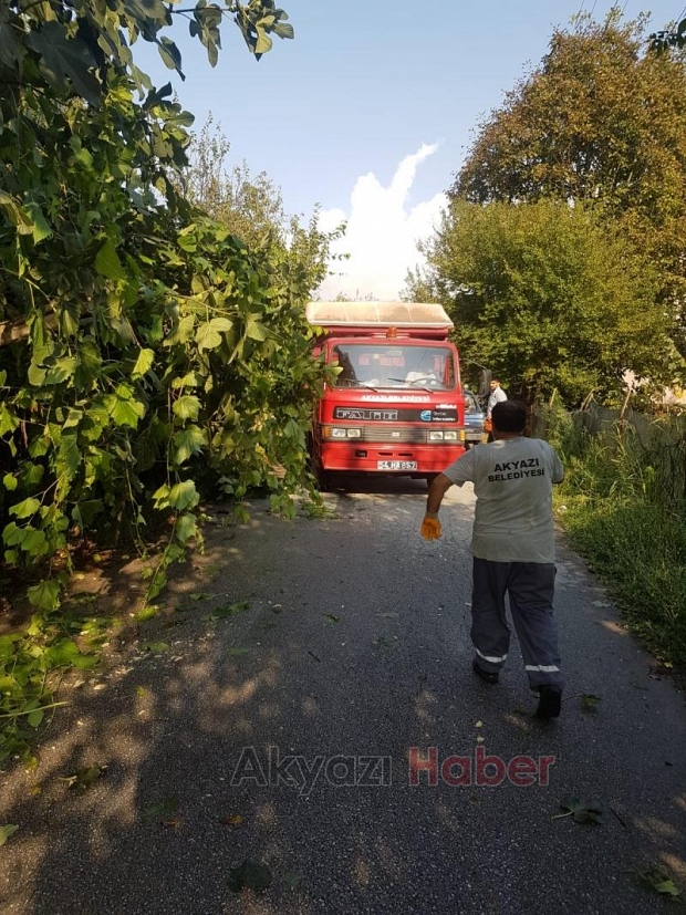 Ağacın altında kalmaktan son anda kurtuldu