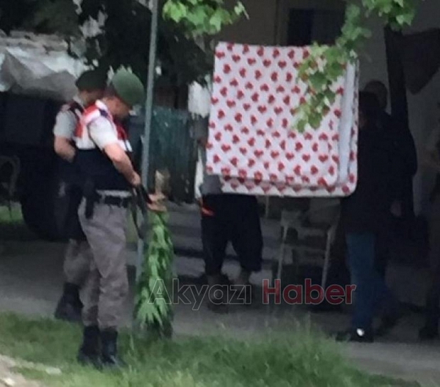 Ahırda Ekili Kenevir Yakalandı