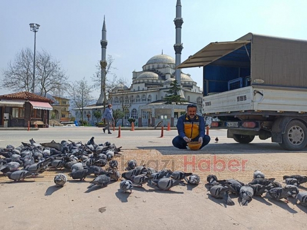 Akyazı Belediyesi Sokak Hayvanlarını Unutmadı