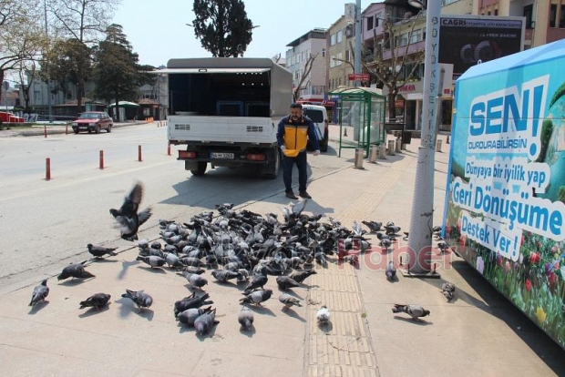 Akyazı Belediyesi Sokak Hayvanlarını Unutmadı