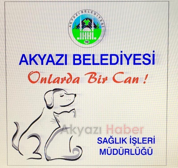 AKYAZI BELEDİYESİ SOKAK HAYVANLARININ YANINDA