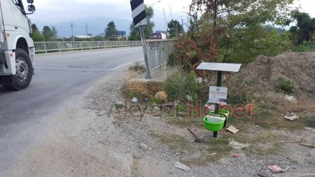 AKYAZI BELEDİYESİ SOKAK HAYVANLARININ YANINDA