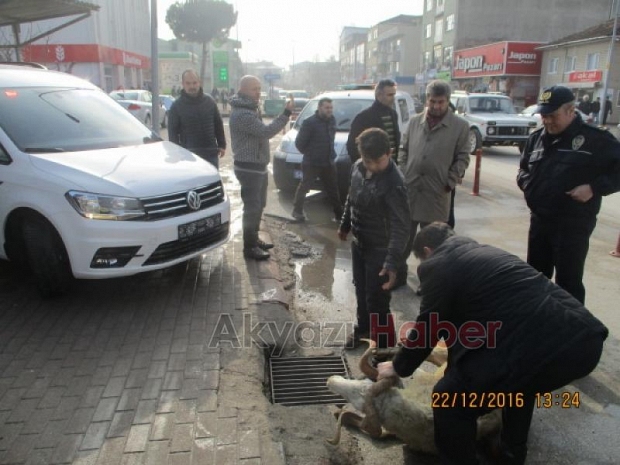 Akyazı İlçe Emniyet Müdürlüğüne Jest