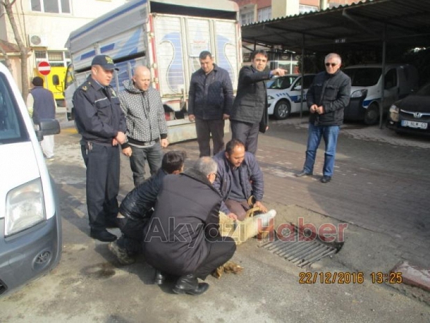 Akyazı İlçe Emniyet Müdürlüğüne Jest