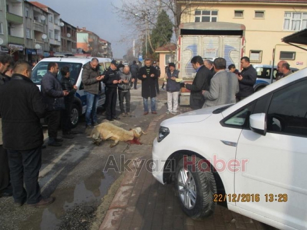 Akyazı İlçe Emniyet Müdürlüğüne Jest