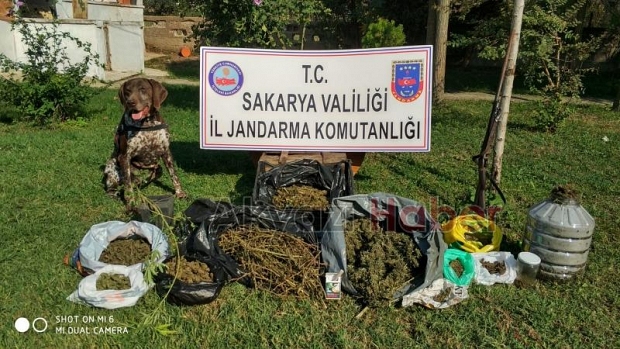 Akyazı jandarmadan operasyon üstüne operasyon