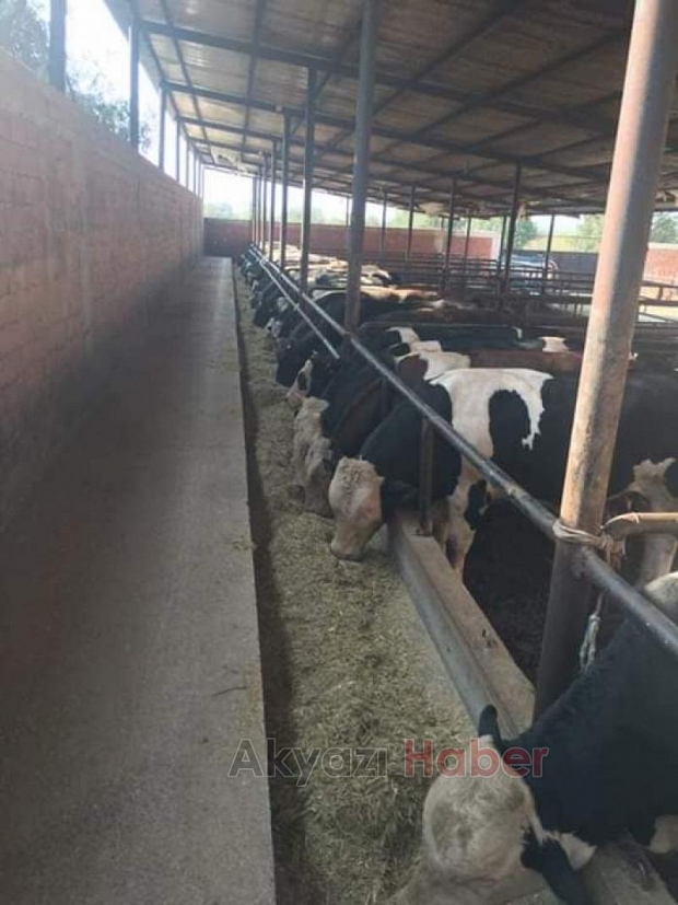 Akyazı KaliçGross Markette Kampanya