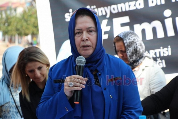 Akyazı MHP İlçe Teşkilatından Basın Açıklaması