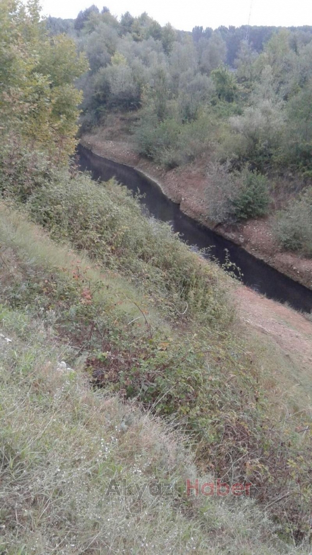  Akyazı Mudurnu Deresi Simsiyah Akıyor