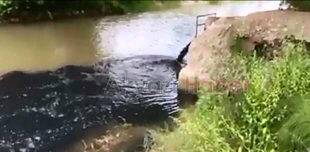 Akyazı Mudurnu deresi simsiyah akmaya devam ediyor