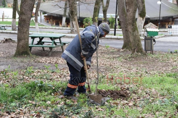 AKYAZI ORMANPARK MEYVE AĞAÇLARI İLE DONATILDI