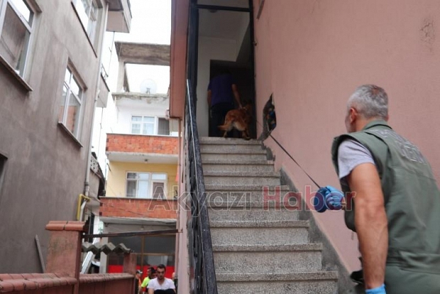 Akyazıda eve Narkotik köpeğiyle baskın