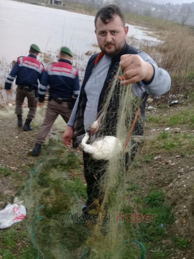 Akyazı’da Kaçak Avcılara Jandarma Dur Dedi