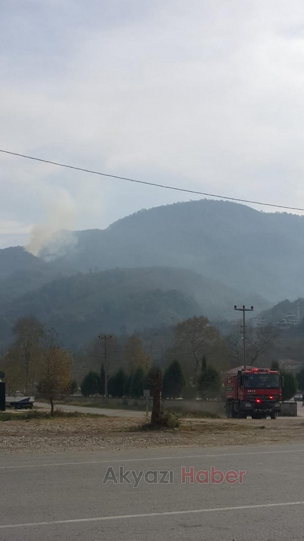 Akyazıda orman yangını