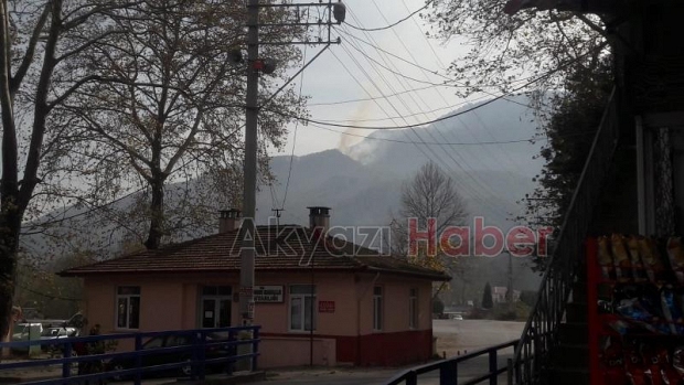 Akyazıda orman yangını