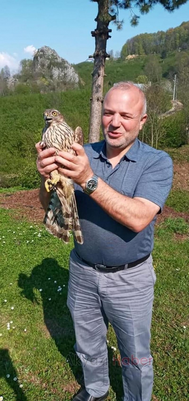 Akyazıda tavuk kümesine atmaca girdi
