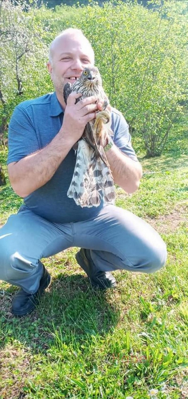 Akyazıda tavuk kümesine atmaca girdi