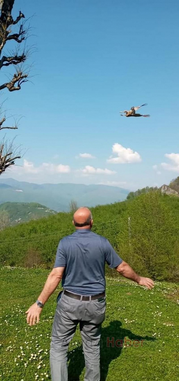 Akyazıda tavuk kümesine atmaca girdi