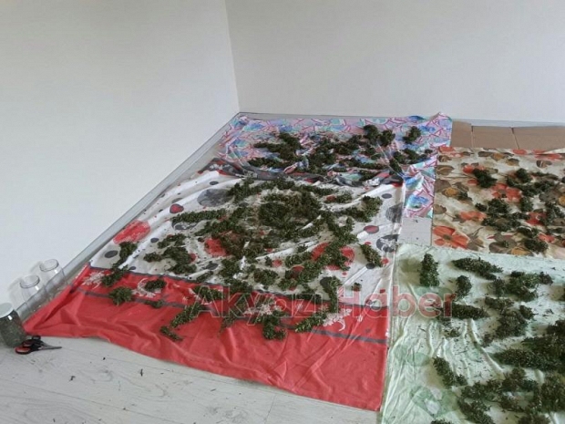  Akyazı’da Uyuşturucu Operasyonu