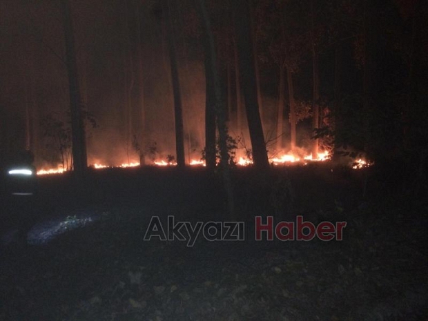 Anız için yakılan ateş Kavaklığı kül ediyordu