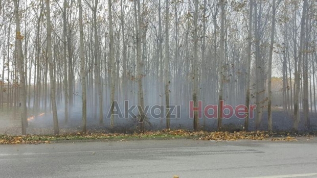 ANIZ YANGINLARI ZARAR VERMEYE DEVAM EDİYOR