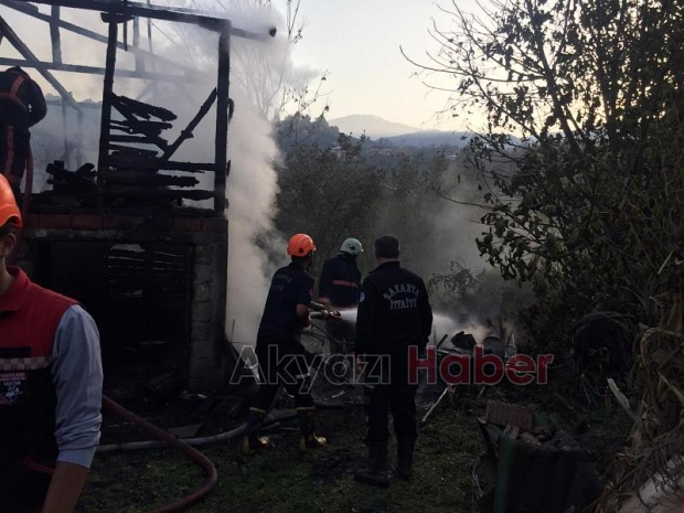Ardiye Alev Alev Yandı