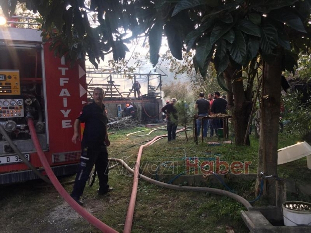Ardiye Alev Alev Yandı