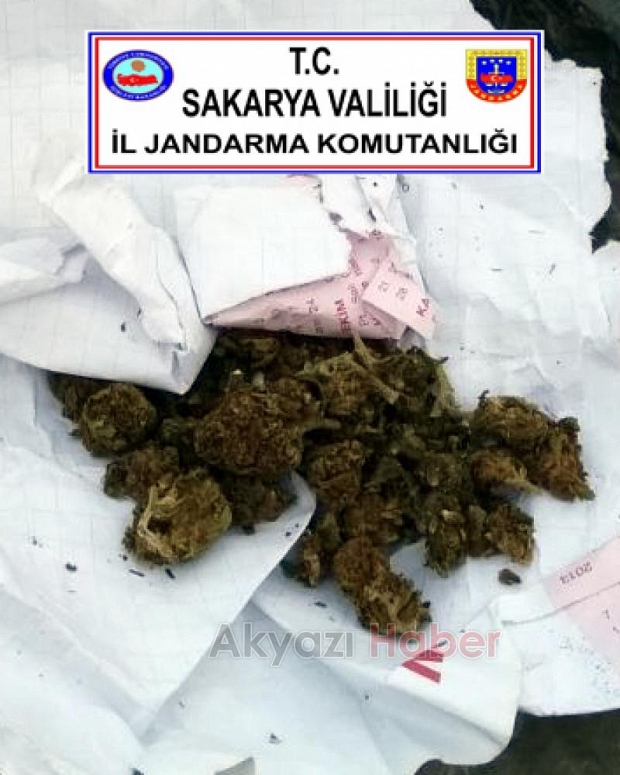 Asayiş Bülteni