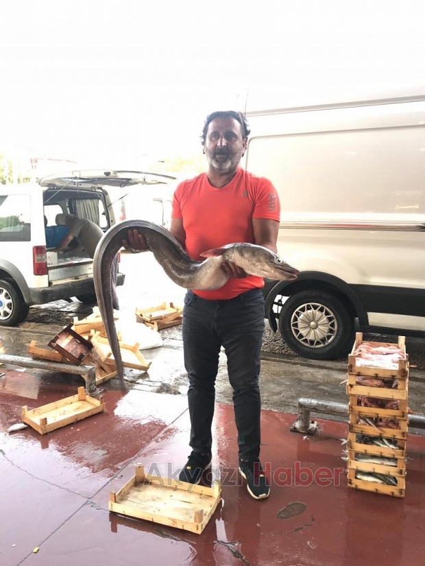 Balığın denizden Akyazı'ya uzanan yolculuğu