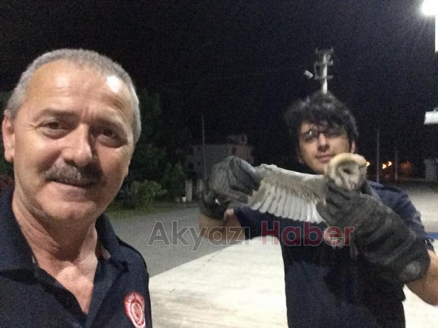 Baykuş şömine bacasına sıkıştı