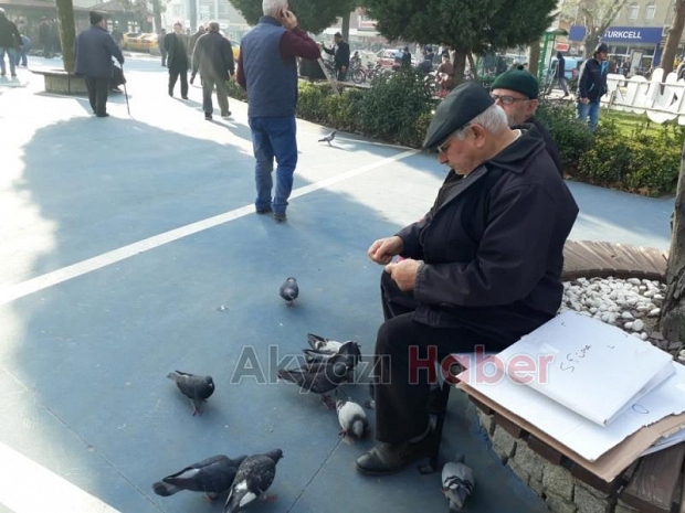 BESLEDiĞi iKi GüVERCiNi ALIP GiTTi
