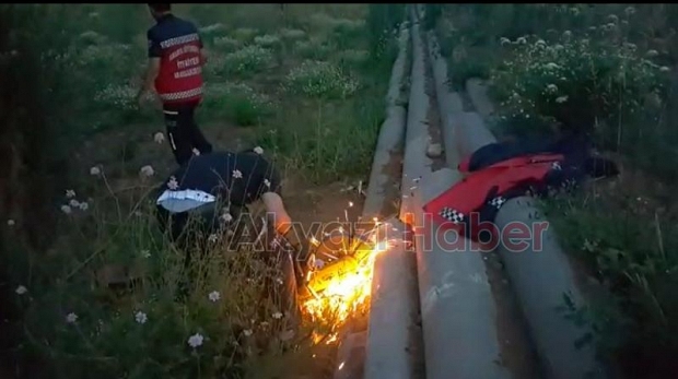 Beton Boruya Sıkışan Köpek Kurtarıldı
