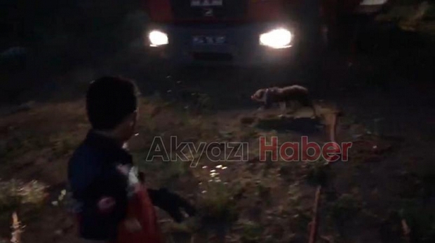 Beton Boruya Sıkışan Köpek Kurtarıldı