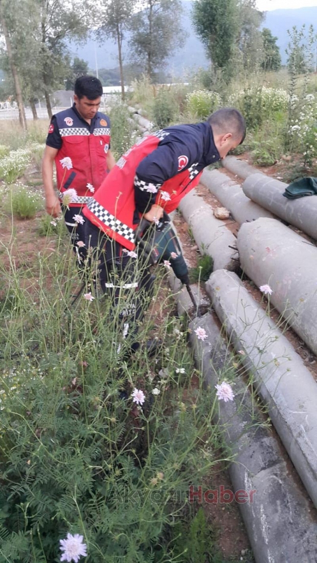 Beton Boruya Sıkışan Köpek Kurtarıldı