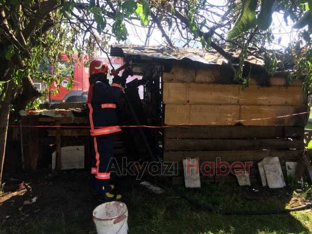  Bit Saran Kümesi Yakmak İstedi Olanlar Oldu