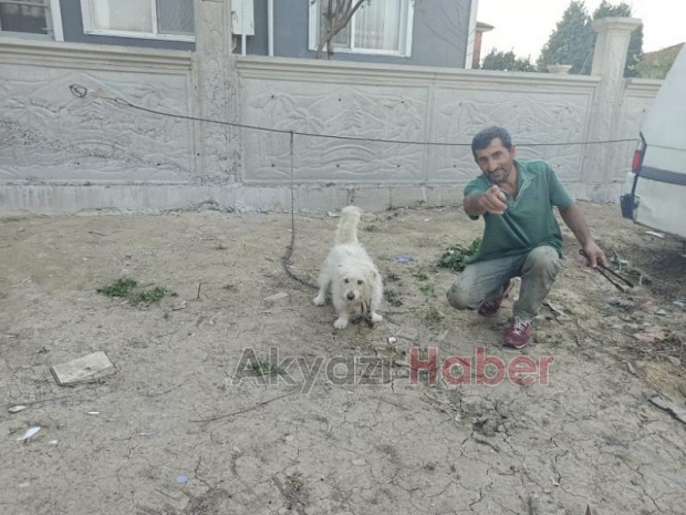 Çarli Sahibini Isırdı