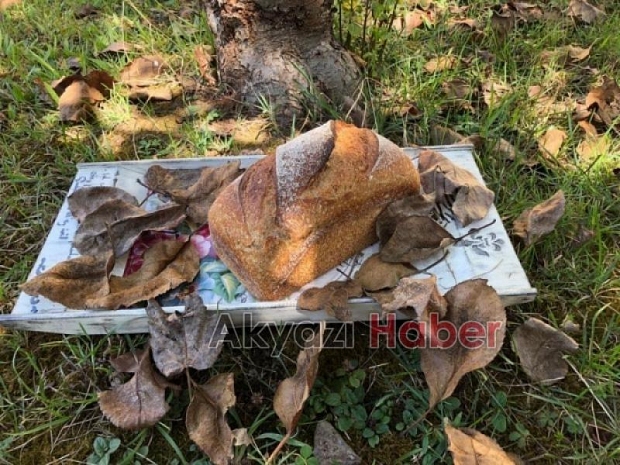 Crs Bread Gold Sizi Lezzet Cennetine Bekliyor