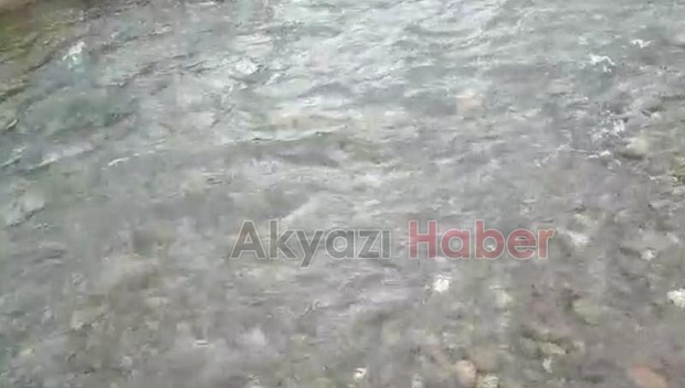 DEREYE HAYVAN GÜBRESİ ATTILAR