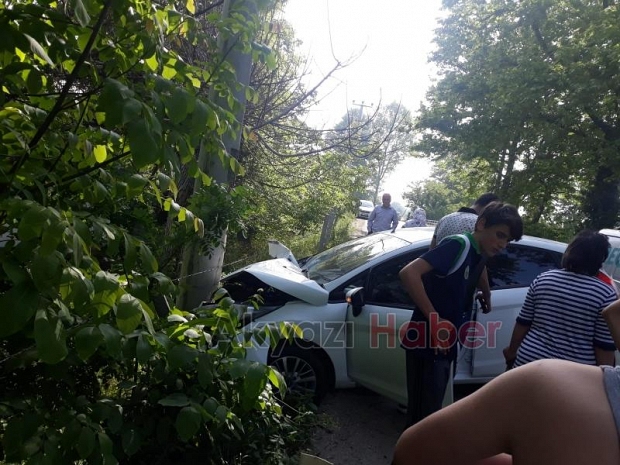 Direksiyon Hakimiyetini Kaybetti Direğe Çarptı