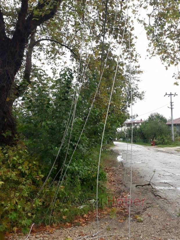 Elektrik Telleri Fırtınaya Dayanamadı