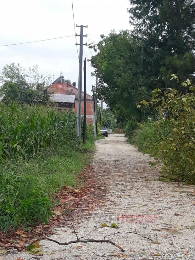 Elektrik Telleri Fırtınaya Dayanamadı