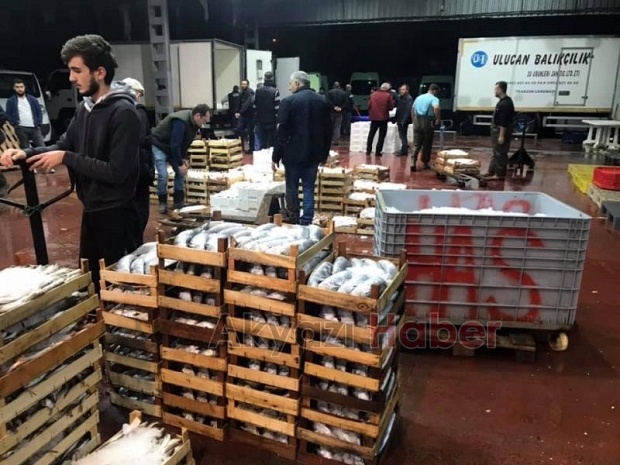 En Taze Balıklar Balıkçı Hüseyinde Sizleri Bekliyor