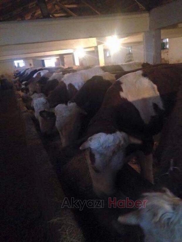 Et Müdavimlerinin Vazgeçemediği Tek Adres